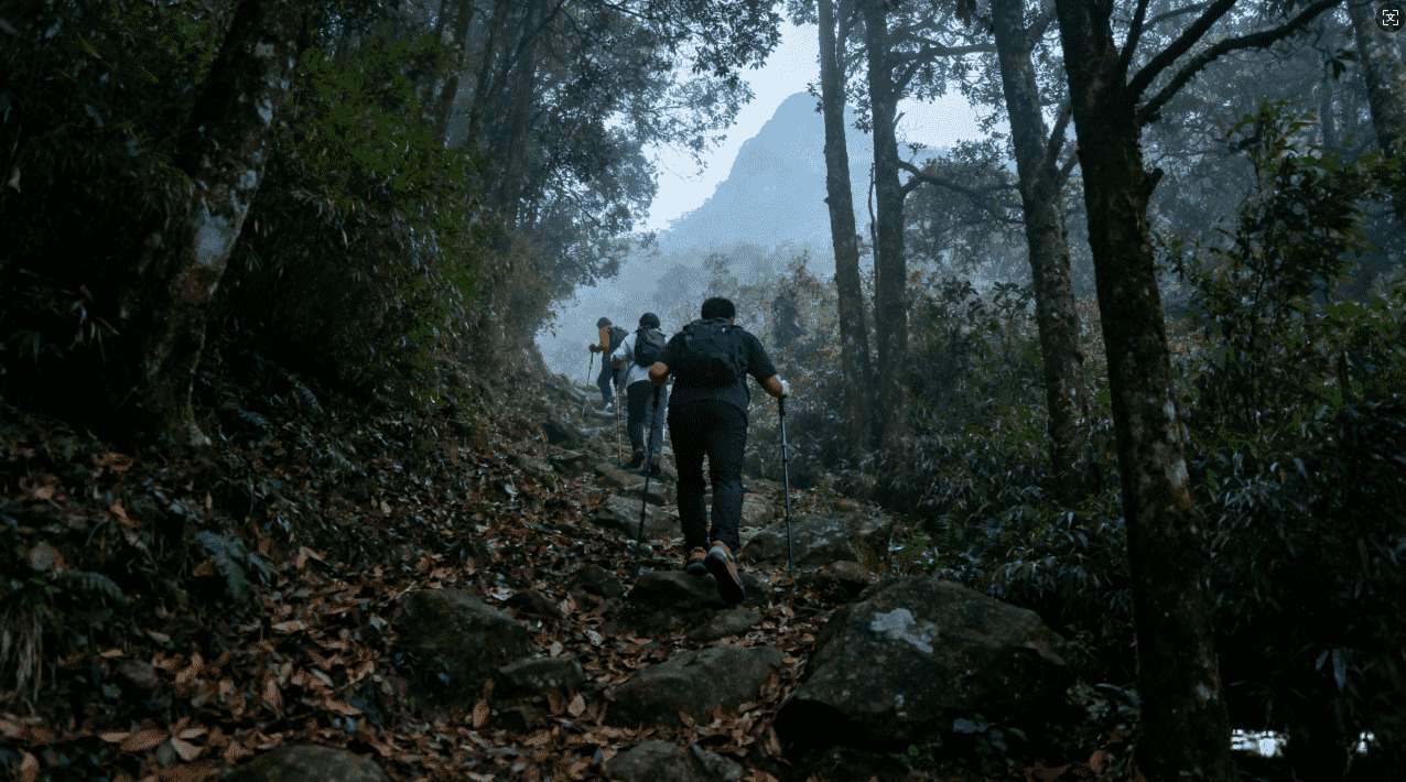 如何使用INS特效苹果加速器APP提升视频编辑体验